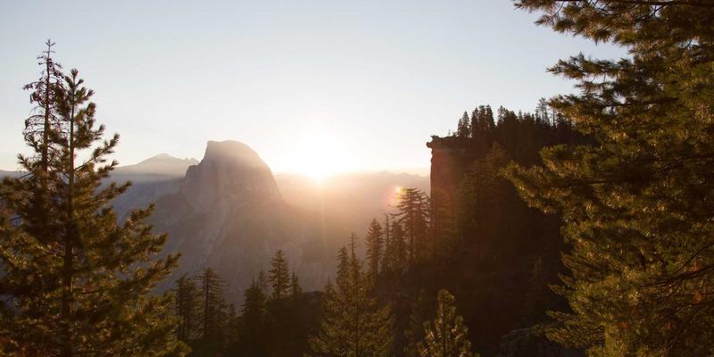 决胜日本IT就职：工程师作品集打造全攻略，助你斩获千叶德利工作机会
