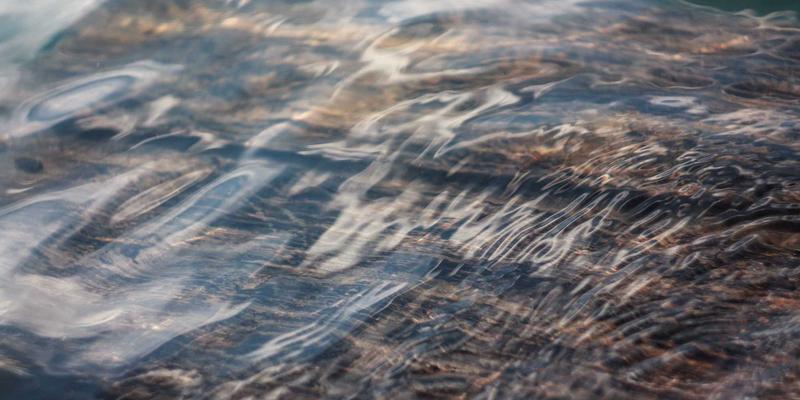 日本特定技能签证全攻略：14大行业就职详解与从申请到永住的完整路径规划