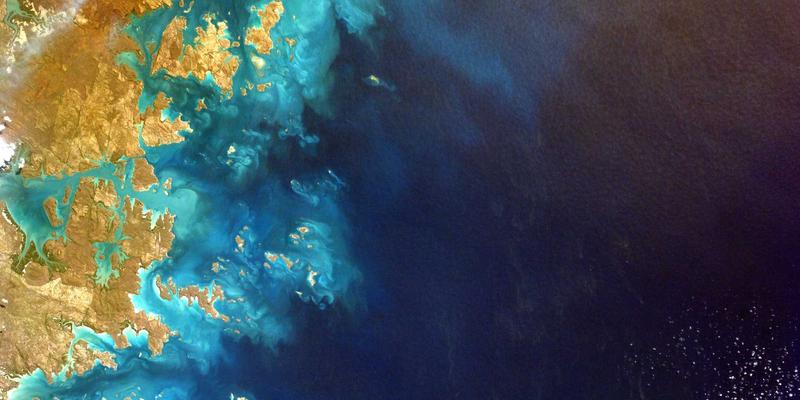 日本职业十字路口:创业公司VS大手企业,外国人才如何选择?以千叶德利工作为例的深度分析