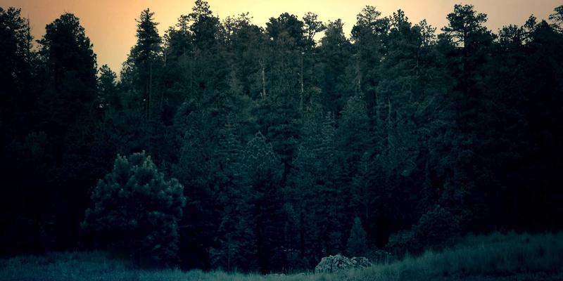 逃离东京内卷？深度解析千叶、福冈、北海道等日本地方城市就职优势：生活成本、企业机遇与国际化社区